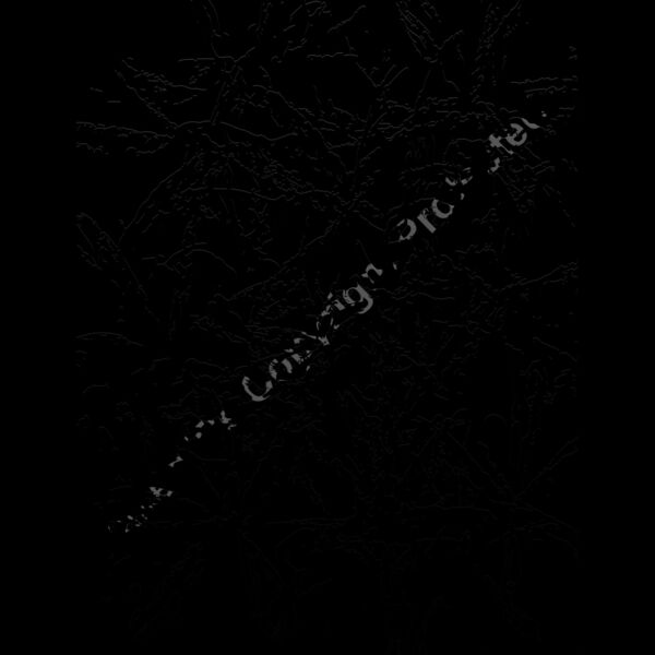 ESsplat005bw Thumbnail
