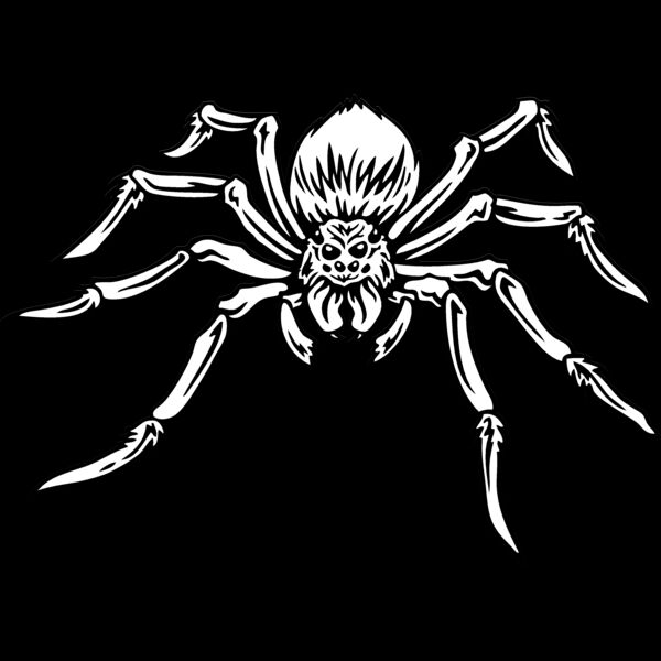 ESspider004bw Thumbnail