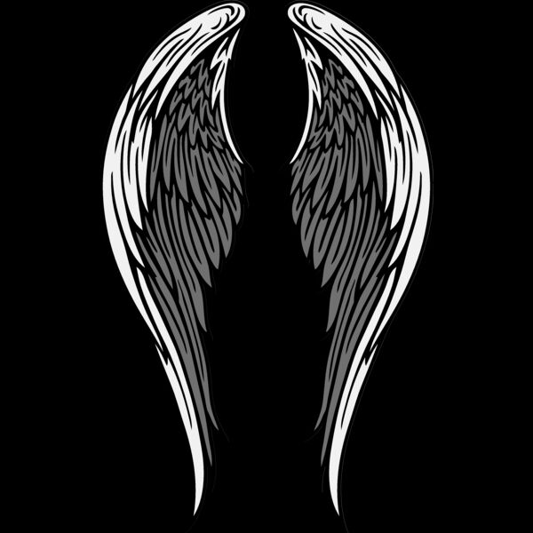 ES2wings018CLR Thumbnail