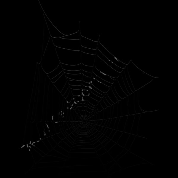 ES2web001bw Thumbnail