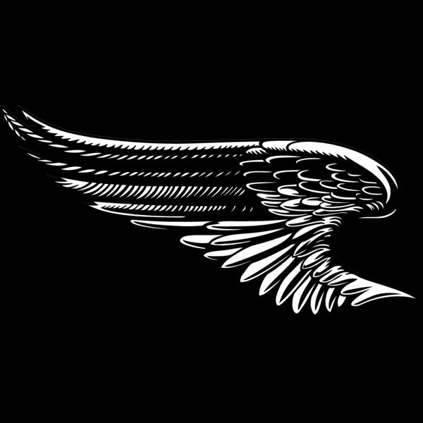 ES2wings027bw Thumbnail