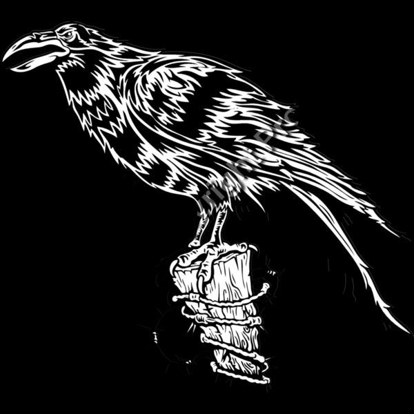 ES2raven001BW Thumbnail