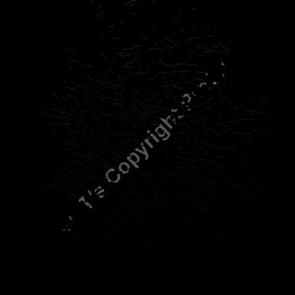 ES2splat019bw Thumbnail