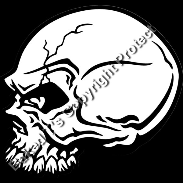 ES2skull032BW Thumbnail