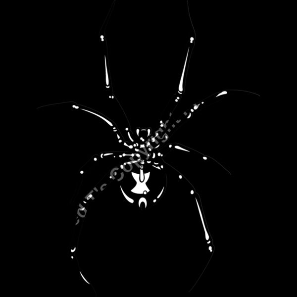 ES2spider002bw Thumbnail