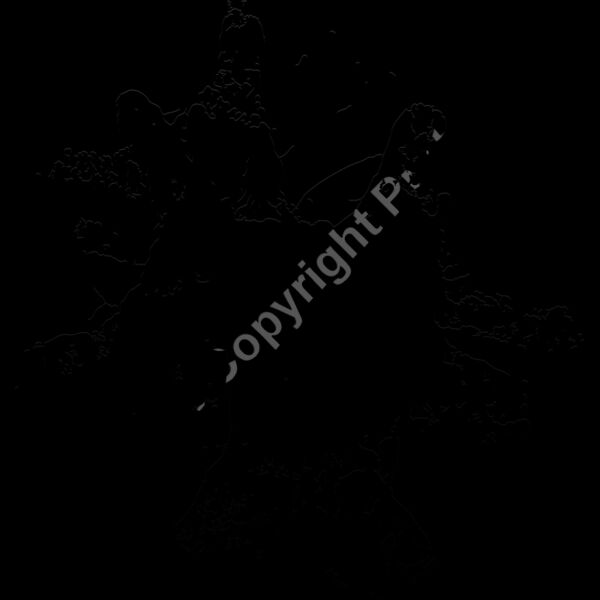 ES2splat005bw Thumbnail