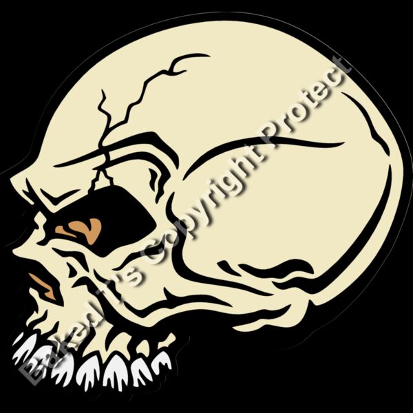 ES2skull032CLR Thumbnail