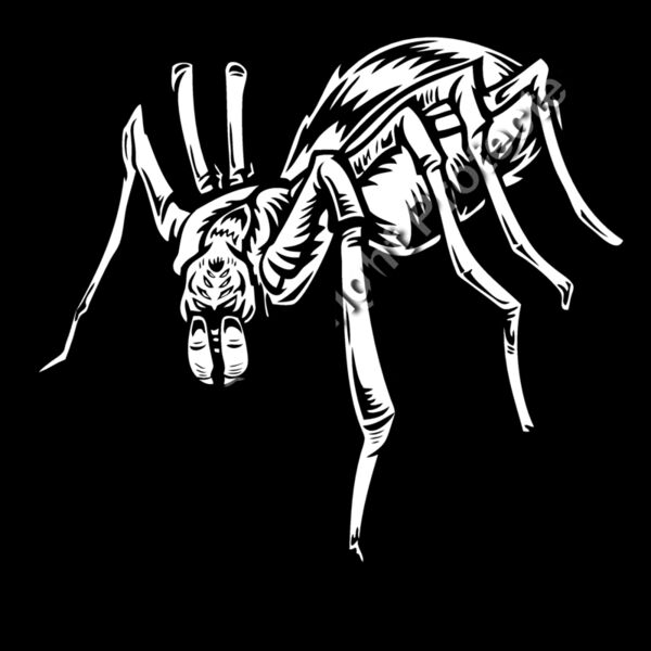 ES2spider004BW Thumbnail