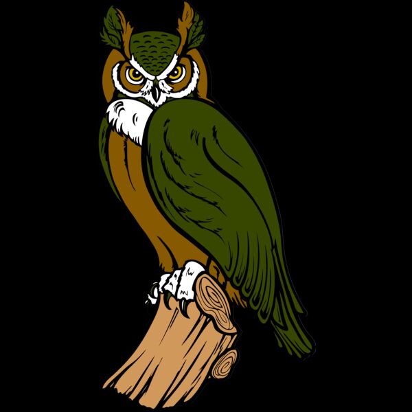 ES2owl002clr Thumbnail