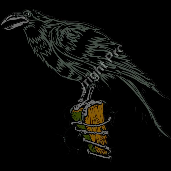 ES2raven001clr Thumbnail
