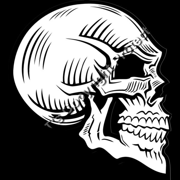 ES2skull025BW Thumbnail