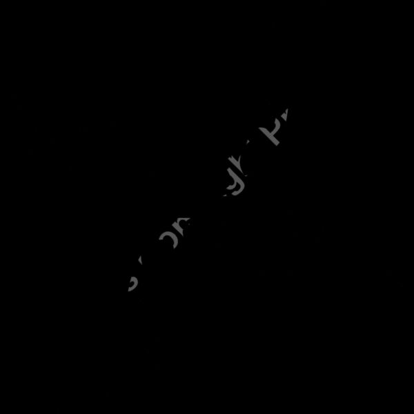 ES2tribal018BW Thumbnail