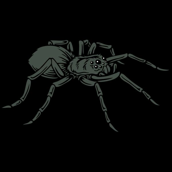 ES2spider001CLR Thumbnail