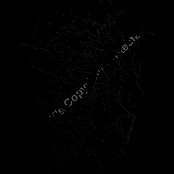ES2splat015bw Thumbnail