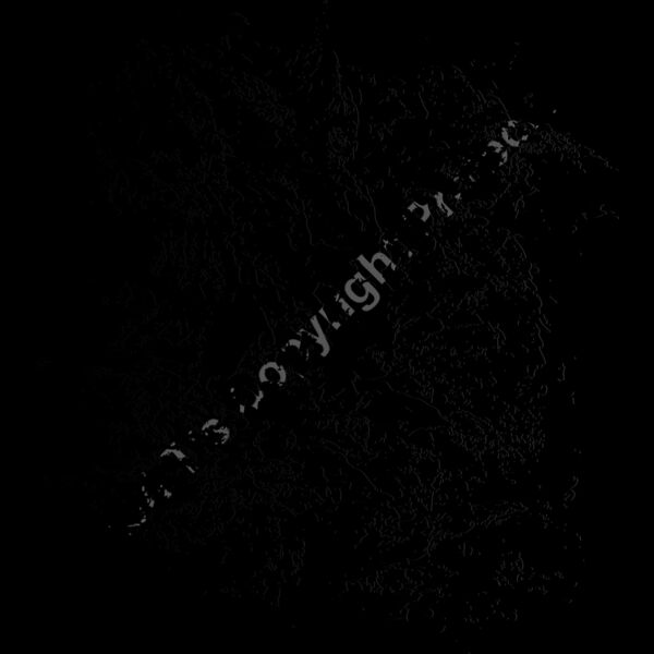 ES3splat06bw Thumbnail