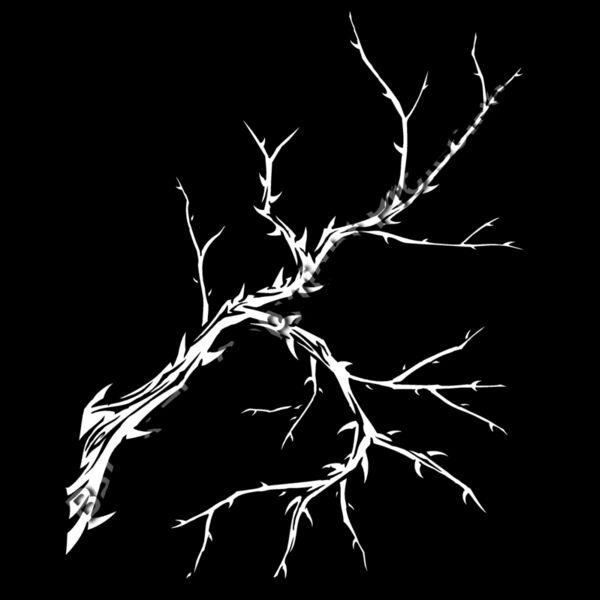 ES3thorns01bw Thumbnail