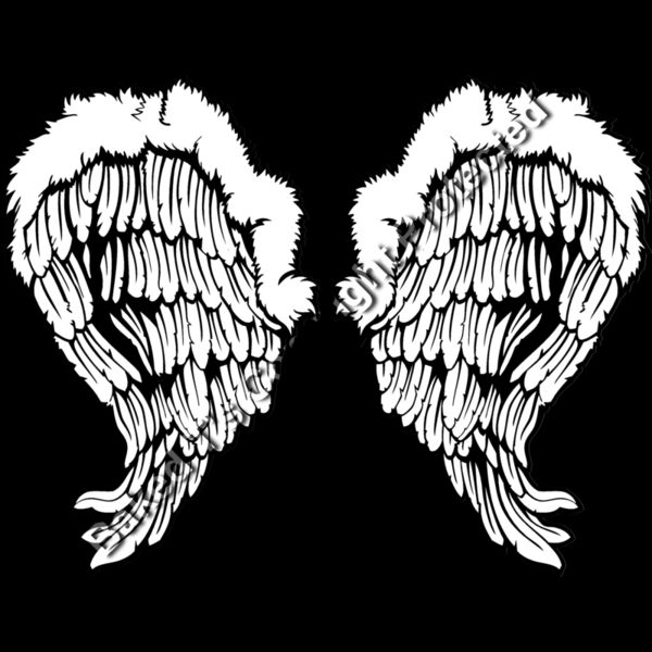 ES3wing26bw Thumbnail