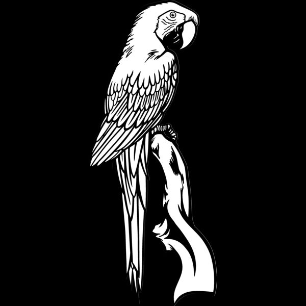 ES3parrot02bw Thumbnail