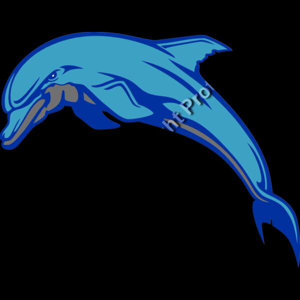ES3dolphin03clr Thumbnail