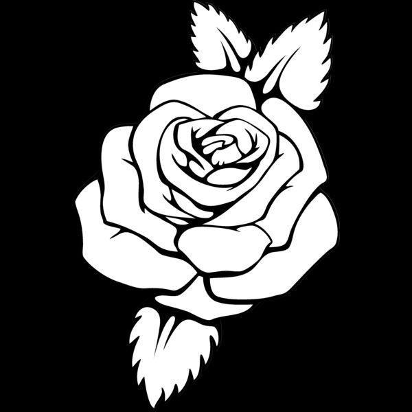 es3flower08bw Thumbnail