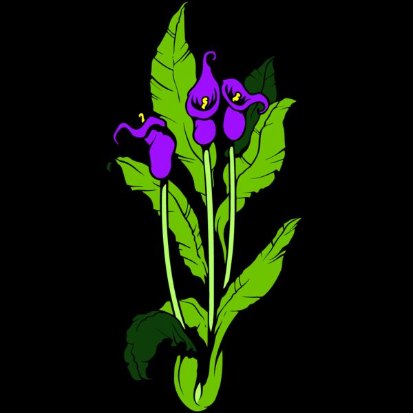 ES3flower07clr Thumbnail