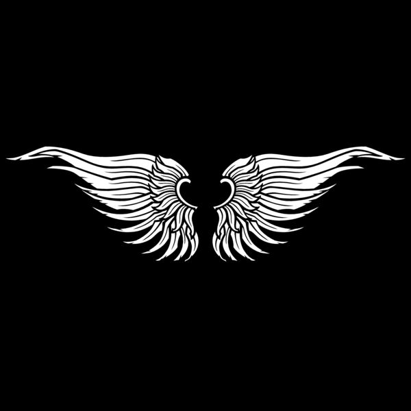 ES3wing19bw Thumbnail