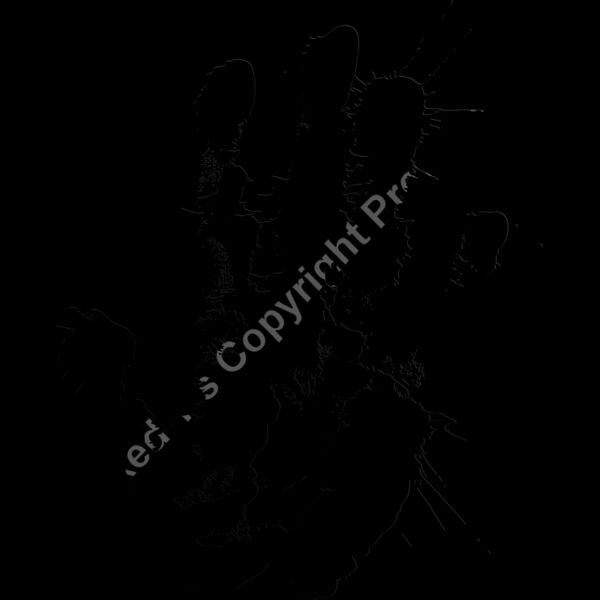 ES3splat10bw Thumbnail