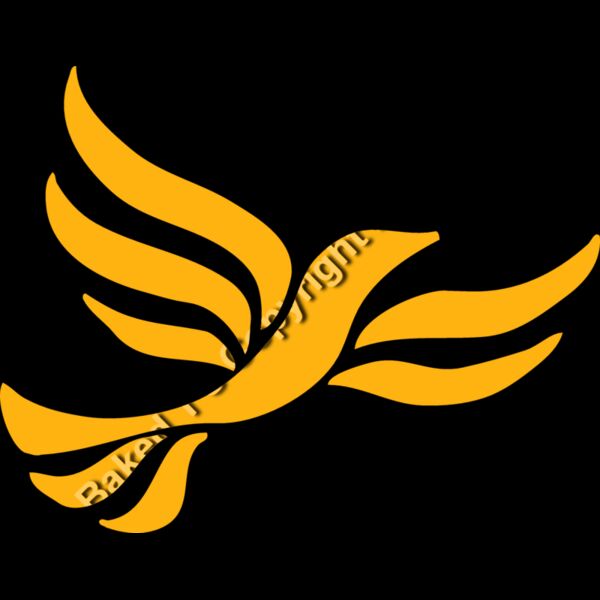 LiberalDem Thumbnail