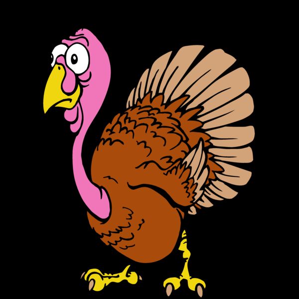 TURKEY2 Thumbnail
