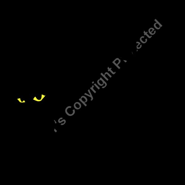 BLACKCAT1 Thumbnail