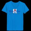 Ladies’  Junior Fine Jersey V-Neck Longer Length T-Shirt Thumbnail