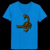 Ladies’  Junior Fine Jersey V-Neck Longer Length T-Shirt Thumbnail