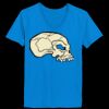 Ladies’  Junior Fine Jersey V-Neck Longer Length T-Shirt Thumbnail
