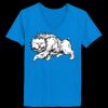 Ladies’  Junior Fine Jersey V-Neck Longer Length T-Shirt Thumbnail