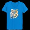 Ladies’  Junior Fine Jersey V-Neck Longer Length T-Shirt Thumbnail
