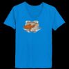 Ladies’  Junior Fine Jersey V-Neck Longer Length T-Shirt Thumbnail