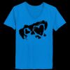 Ladies’  Junior Fine Jersey V-Neck Longer Length T-Shirt Thumbnail