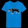 Ladies’  Junior Fine Jersey V-Neck Longer Length T-Shirt Thumbnail