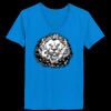 Ladies’  Junior Fine Jersey V-Neck Longer Length T-Shirt Thumbnail