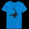 Ladies’  Junior Fine Jersey V-Neck Longer Length T-Shirt Thumbnail