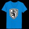 Ladies’  Junior Fine Jersey V-Neck Longer Length T-Shirt Thumbnail