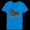 Ladies’  Junior Fine Jersey V-Neck Longer Length T-Shirt Thumbnail