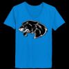 Ladies’  Junior Fine Jersey V-Neck Longer Length T-Shirt Thumbnail