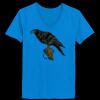 Ladies’  Junior Fine Jersey V-Neck Longer Length T-Shirt Thumbnail