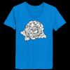 Ladies’  Junior Fine Jersey V-Neck Longer Length T-Shirt Thumbnail