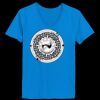 Ladies’  Junior Fine Jersey V-Neck Longer Length T-Shirt Thumbnail