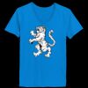 Ladies’  Junior Fine Jersey V-Neck Longer Length T-Shirt Thumbnail