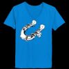 Ladies’  Junior Fine Jersey V-Neck Longer Length T-Shirt Thumbnail