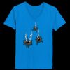 Ladies’  Junior Fine Jersey V-Neck Longer Length T-Shirt Thumbnail