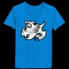 Ladies’  Junior Fine Jersey V-Neck Longer Length T-Shirt Thumbnail
